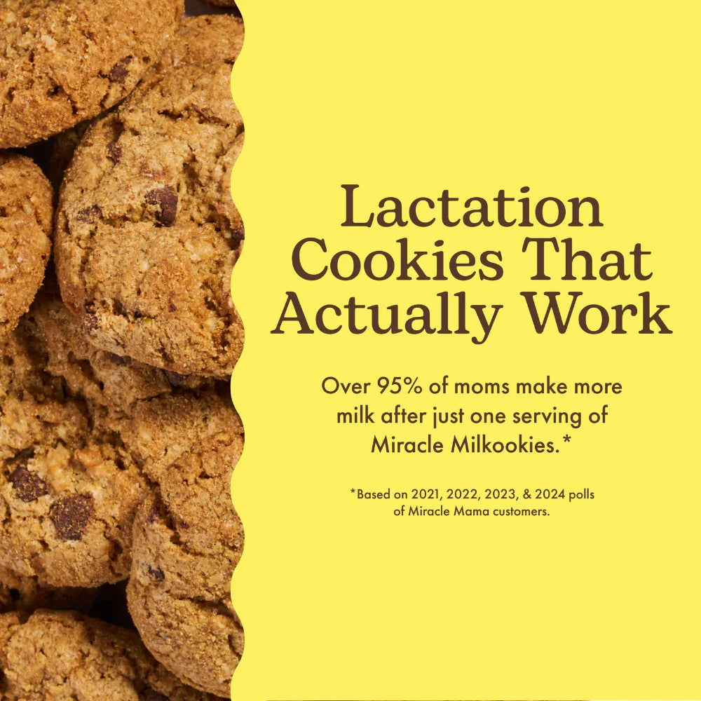 Mini Crunchy Oatmeal Chocolate Chip Lactation Cookies