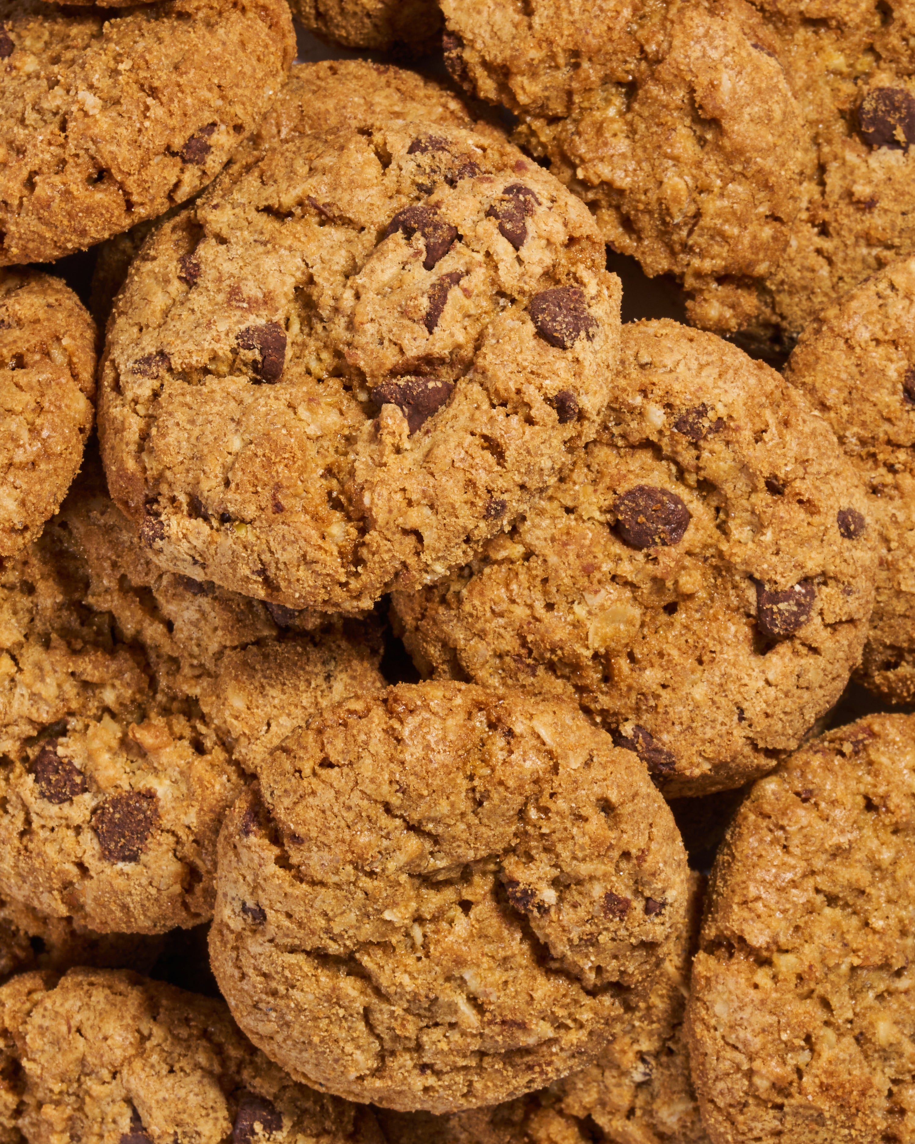 Mini Crunchy Oatmeal Chocolate Chip Lactation Cookies