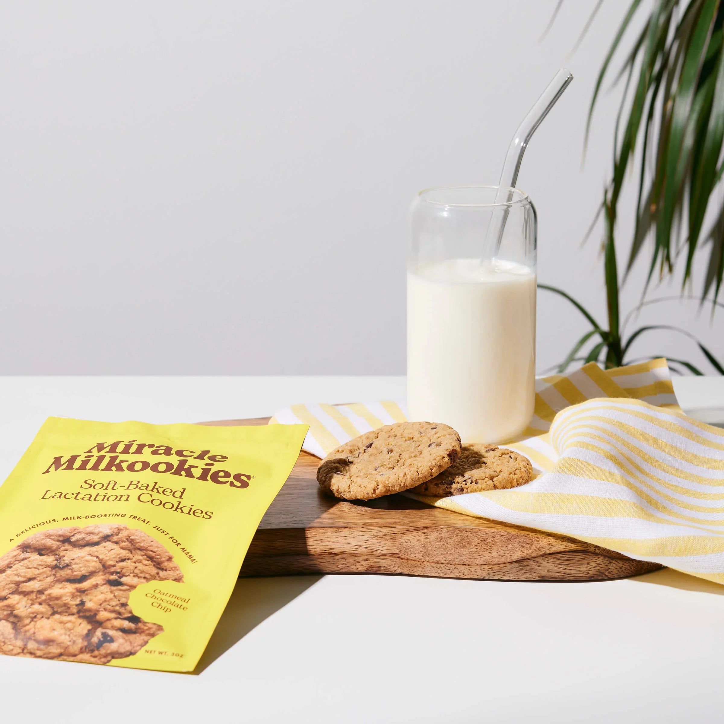 Oatmeal Chocolate Chip Lactation Kookies